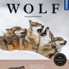 Sport Kosmos (Franckh-Kosmos) | Handbuch Wolf