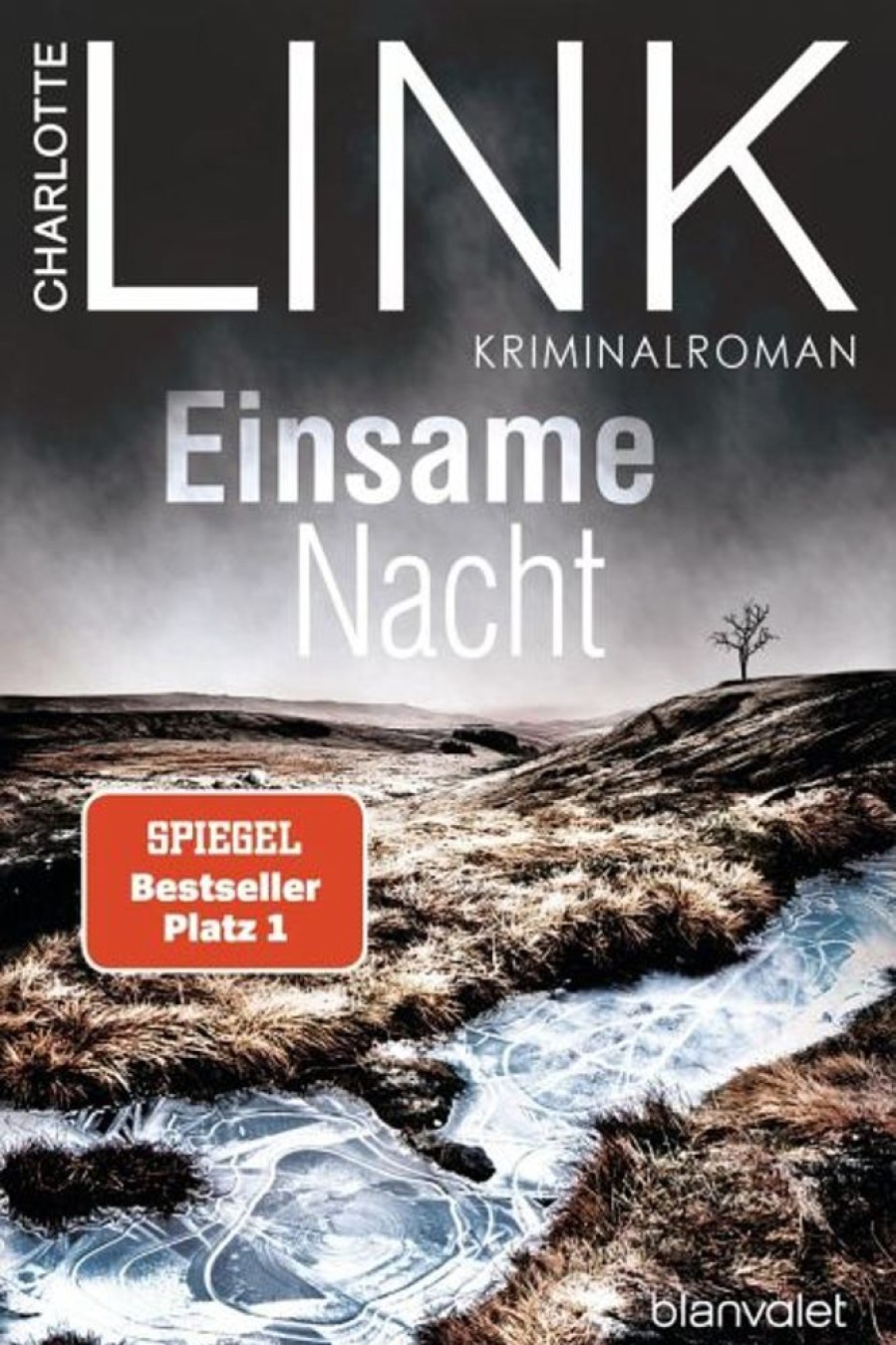 Krimi & Thriller Blanvalet | Einsame Nacht / Polizistin Kate Linville Bd.4