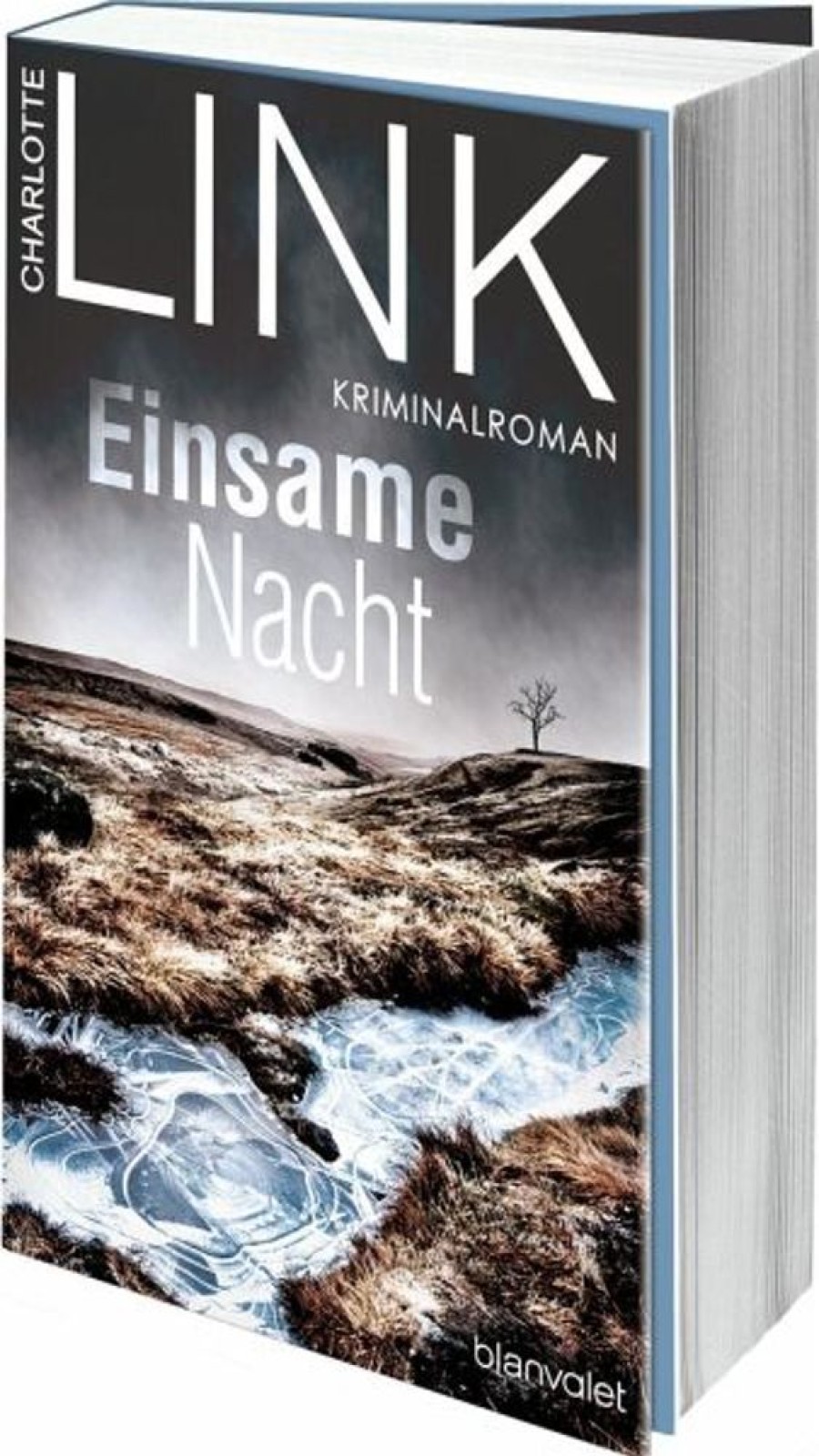 Krimi & Thriller Blanvalet | Einsame Nacht / Polizistin Kate Linville Bd.4