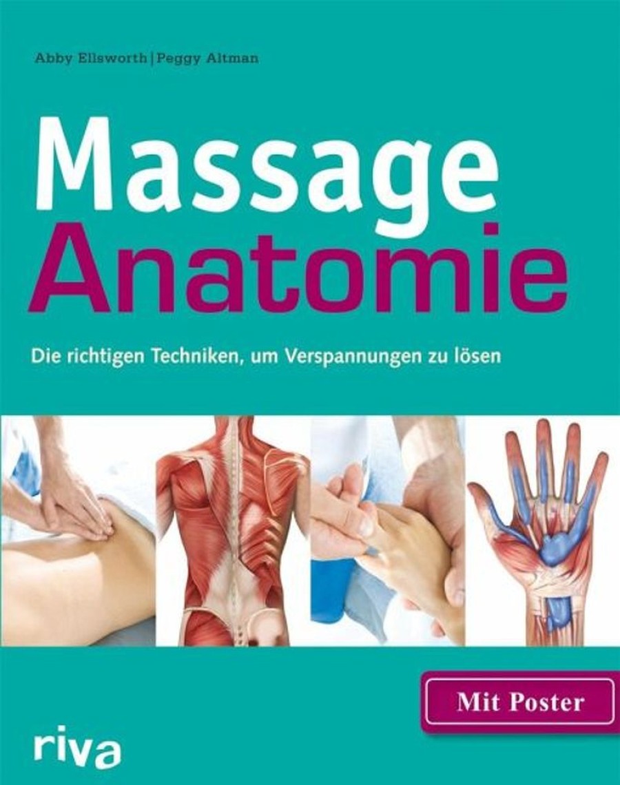 Sport riva Verlag | Massage-Anatomie