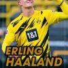 Sport Die Werkstatt | Erling Haaland